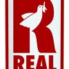 Real Doves Renewal 8.06 Skateboard Deck