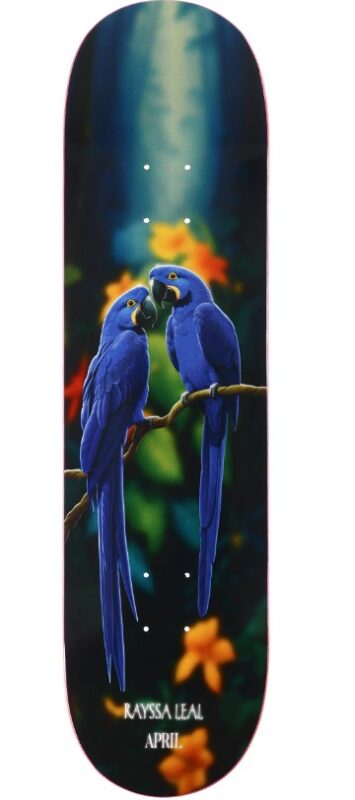 april rayssa leal blue macaw 8.25" deck