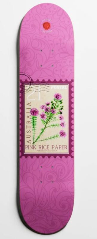postal australian natives collection pink rice flower 8" deck